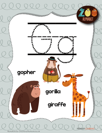 animals that start with the letter g