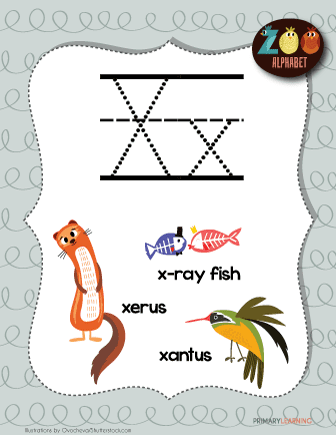 Letter X Animals | Printable Poster 