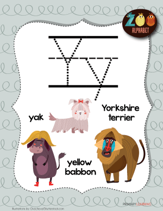 Letter Y Animals | Printable Poster 
