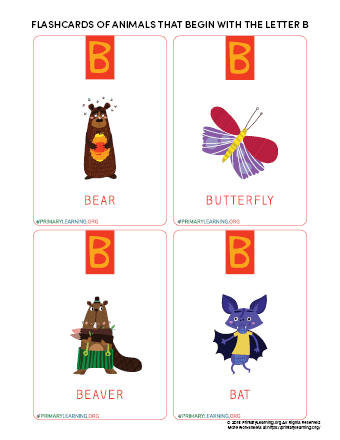 Flashcards Of Animals That Begin With The Letter B 