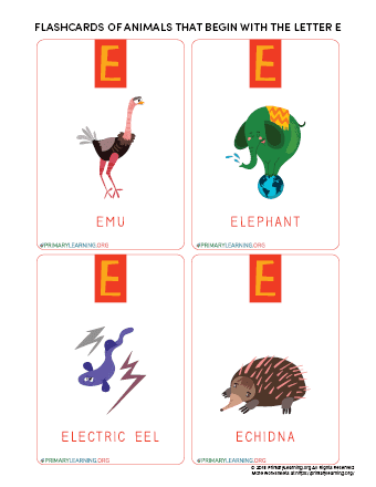 Flashcards Of Animals That Begin With The Letter E 