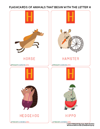 Flashcards Of Animals That Begin With The Letter H 