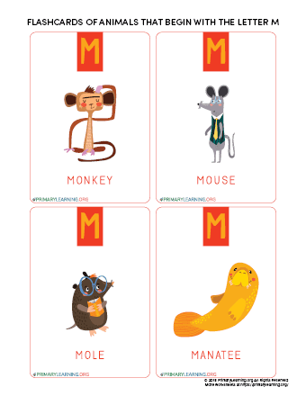 Flashcards Of Animals That Begin With The Letter M 