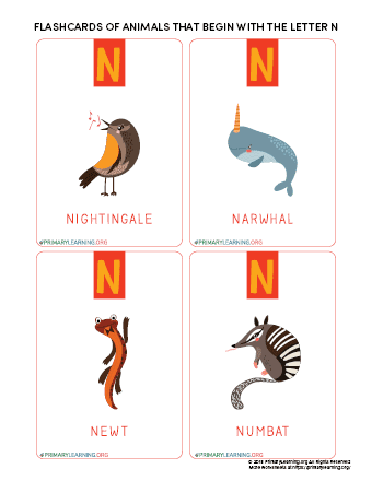 Flashcards Of Animals That Begin With The Letter N 