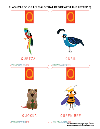 Flashcards Of Animals That Begin With The Letter Q 