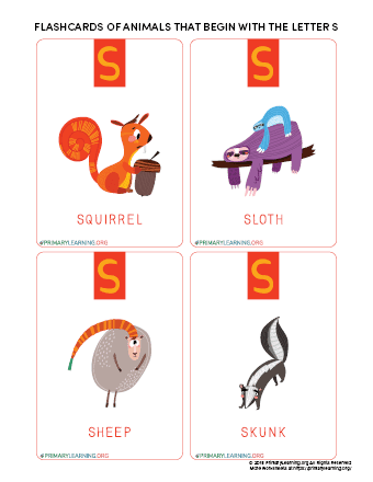 Flashcards Of Animals That Begin With The Letter S 