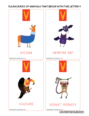 Flashcards Of Animals That Begin With The Letter V 