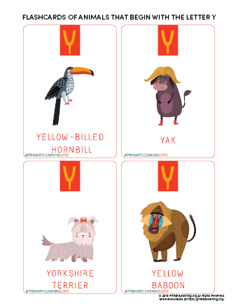 Flashcards Of Animals That Begin With The Letter Y 