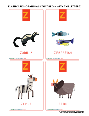 Flashcards Of Animals That Begin With The Letter Z 
