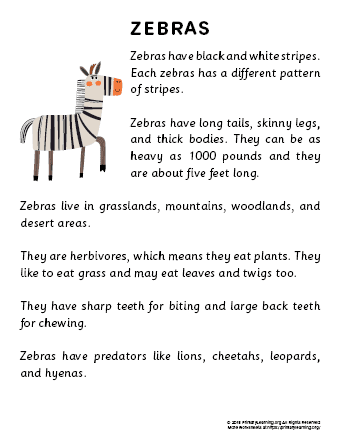 zebra reading passage