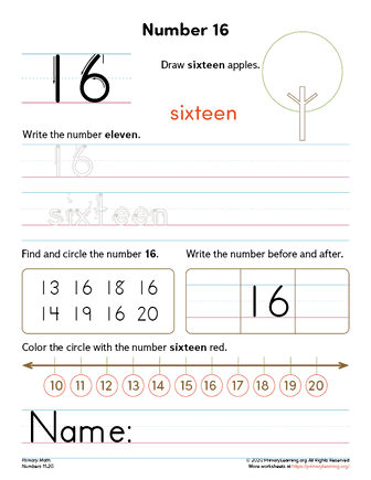 all about number 16 worksheet