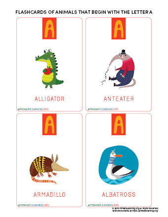 animals that begin with the letter a