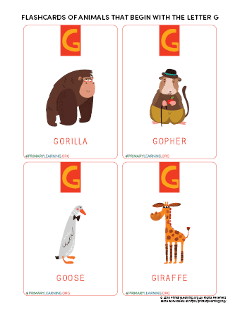 animals that begin with the letter g