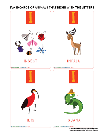 animals that begin with the letter i