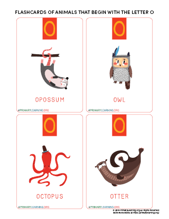 animals that begin with the letter o