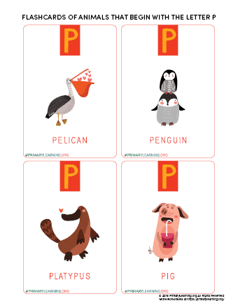 animals that begin with the letter p