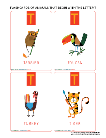 animals that begin with the letter t
