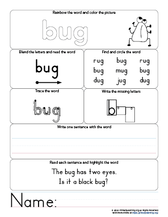 bug worksheet
