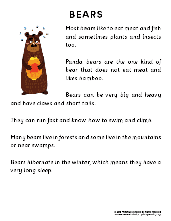 bear reading passage