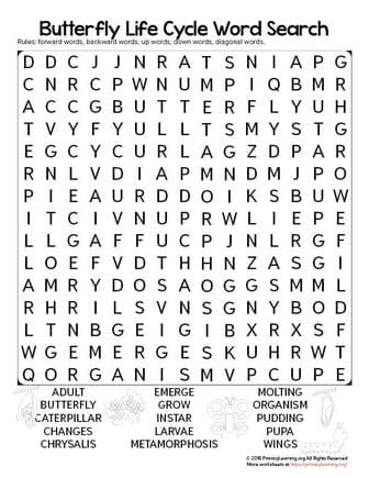 butterfly life cycle word search