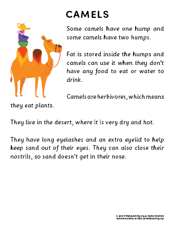 camel reading passage