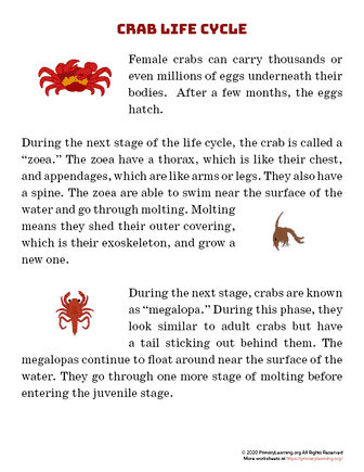 crab life cycle article