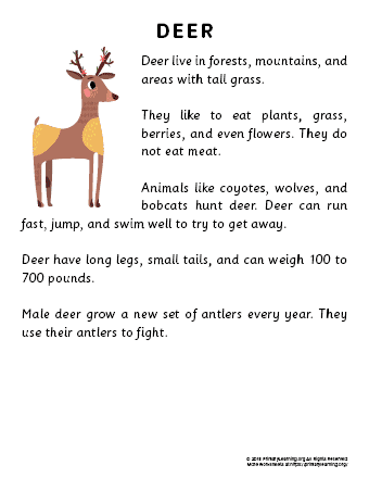 deer reading passage