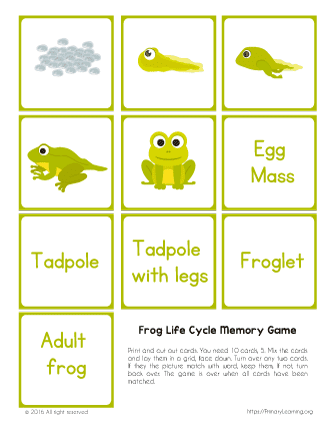 frog life cycle printable