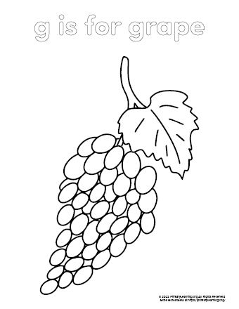 Grapes Coloring Page | PrimaryLearning.Org