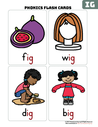 ig word family flash cards
