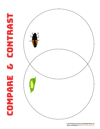 ladybug life cycle venn-diagram