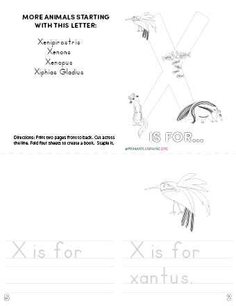 letter x printable book