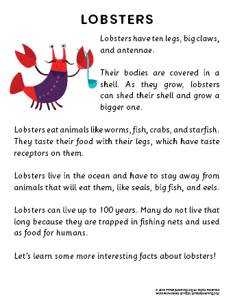 lobster reading passage