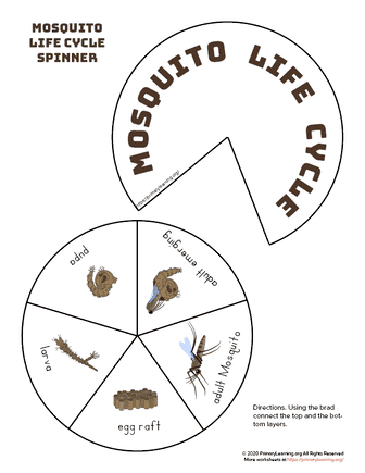 mosquito life cycle spinner