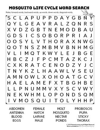 mosquito life cycle word search