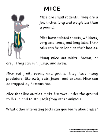 mouse reading passage