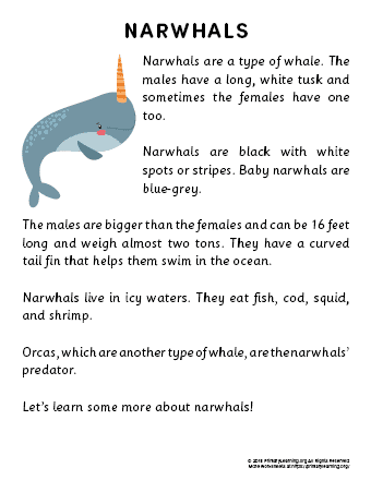 narwhal reading passage