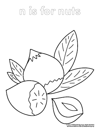 nuts coloring page