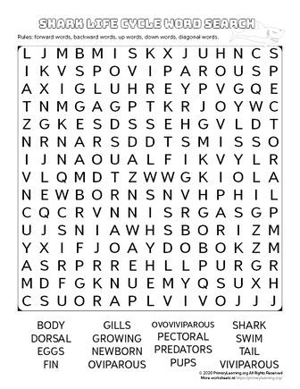 shark life cycle word search