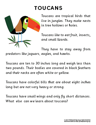 toucan reading passage