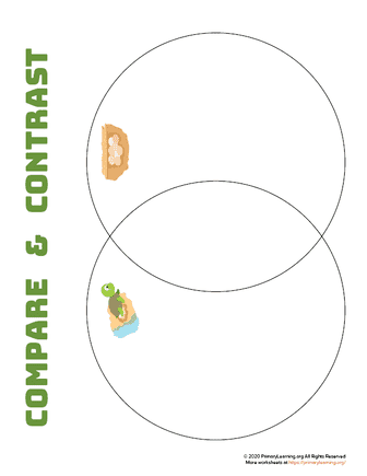 turtle life cycle venn-diagram