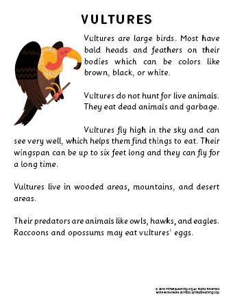 vulture reading passage