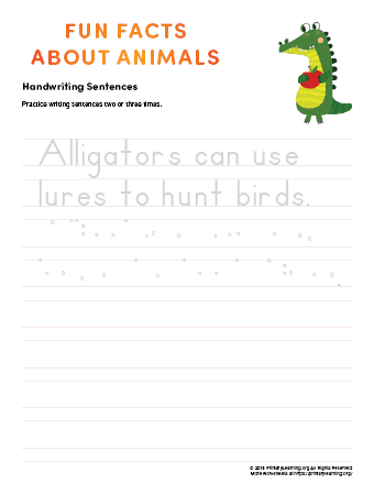 sentence writing alligator