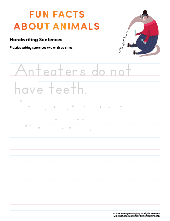 sentence writing anteater