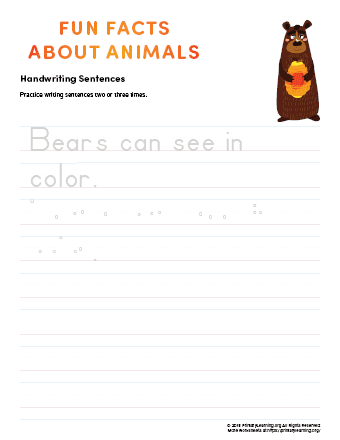 sentence writing bear