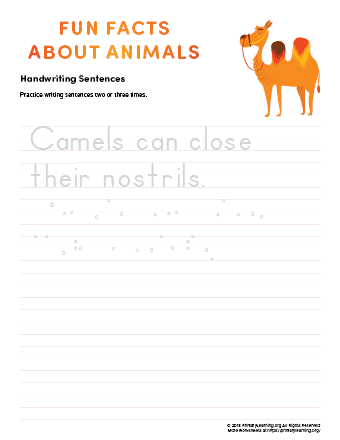 sentence writing camel