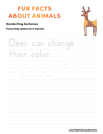 sentence writing deer