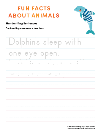 sentence writing dolphin