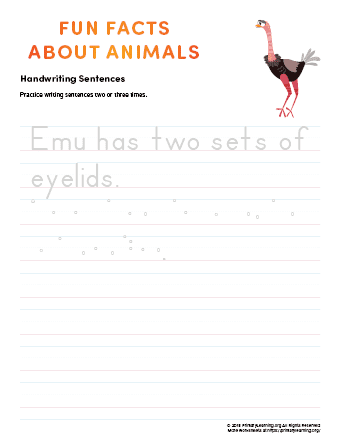 sentence writing emu