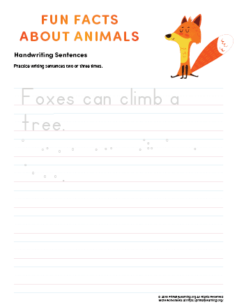 sentence writing fox